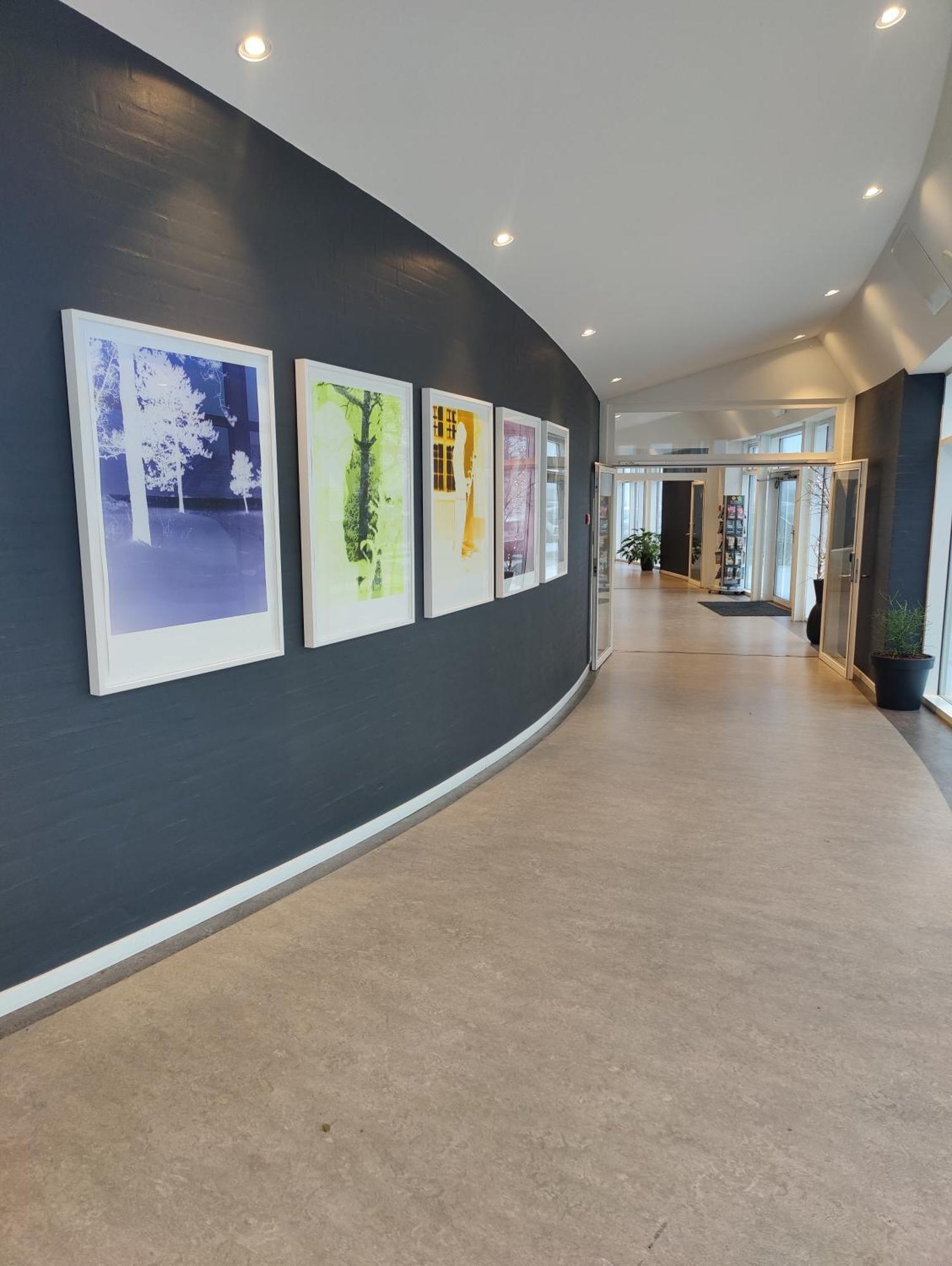 Storebaelt Sinatur Hotel & Konference Nyborg Exterior foto